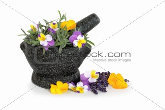 Lavender Herb and Viola Flowers