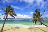 Island Pardise Beach in Hawaii