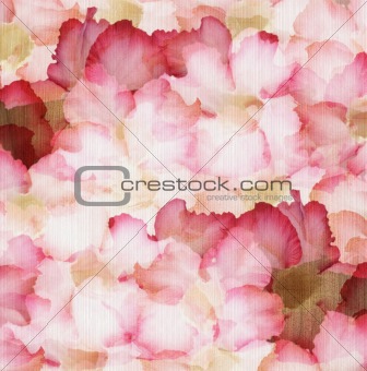 desert rose petals on ribbed natural paper