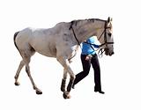 Dappled Racehorse and Handler