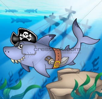 Cartoon pirate shark with shipwreck