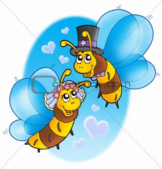 Honey bees wedding on sky