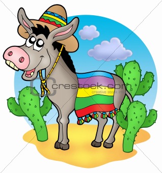 Mexican donkey in desert