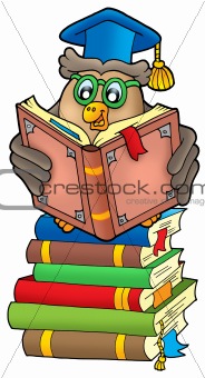 Reading owl teacher on books