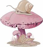 Mushroom snail