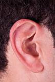 Male Ear