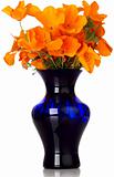 Orange California Poppy's In Blue Vase