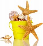 Starfish And Sea Shells In Colorful Yellow Beach Bucket Isolated