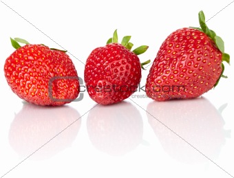 Fresh Strawberries Isolated On White Background ~ Studio Lightin