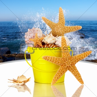 Day Spa Still-life Wtith Starfish And Sea Shells In Colorful Yel