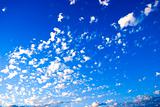 White Clouds ~ Blue Sky 