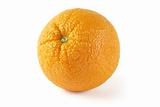Large juicy orange