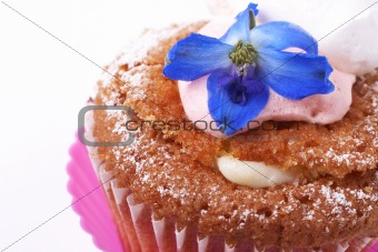 Miniature cupcake with meringue