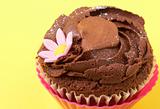 Miniature chocolate cupcake 
