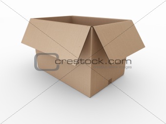 Open cardbard box