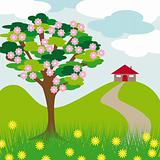 pink blossom tree hill and house