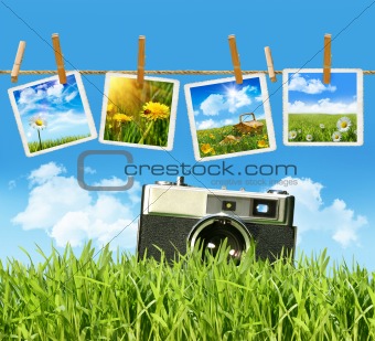 Tall grass with old vintage camera and pictures 