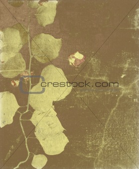 antique bougainvillea print on cracked wall with copy space