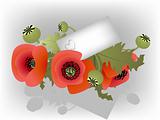 Vector poppy bunch with love letter
