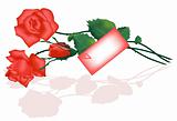 Roses bouquet and love letter. Vector