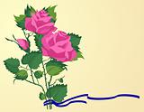 Roses, vector
