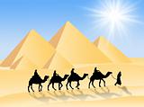 Camel travel