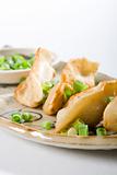 fried chinese dumpling