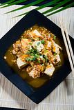 chinese tofu dish