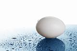 white egg with drops