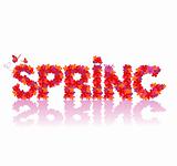 Spring, vector floral card