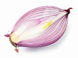 split violet onion bulb