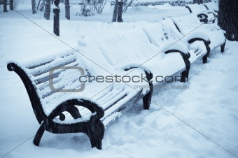 benches in the winter park