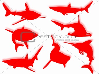 Shark silhouettes