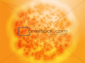 Bacterial cell growth illustration