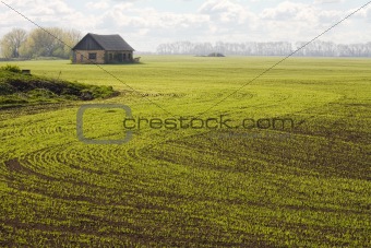 a house on field