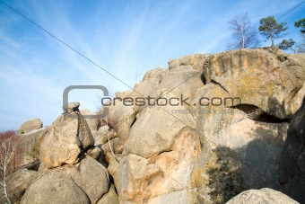 tree on rocks top