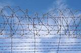 restrictions barbed wire blue sky