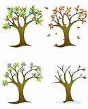 Four seasons – colorful trees
