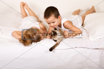 Kids having fun with a kitten
