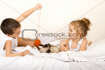 Kids playing with a yern ball and a kitten