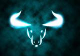 Zodiac Sign Bull