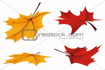 Falling leafs icon set