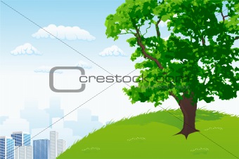 Tree with city panorama