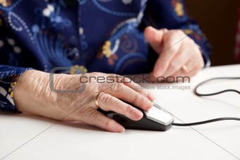 Elderly with Computer