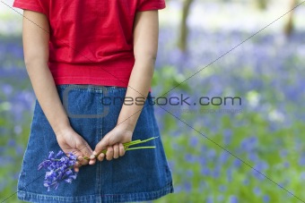 Little Girl With A Bunch of Bluebells