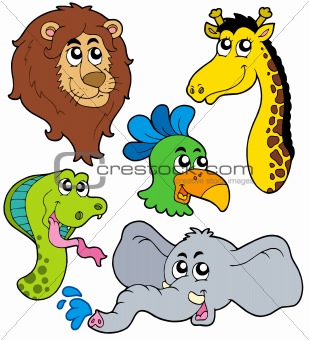 ZOO animals collection 6