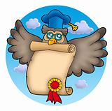 Owl teacher with diploma on sky