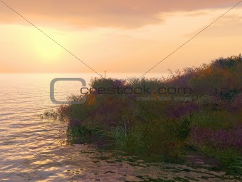 color grass and sunset