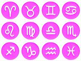 3D Pink Framed Zodiac Signs