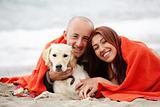 happy couple with a dog on the beach